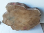 HARDWOOD KILN DRIED WANEY EDGE / LIVE EDGE BURMESE TEAK LOG SLICE / COOKIE