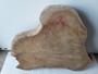 HARDWOOD SAWN KILN DRIED TIMBER WANEY EDGE / LIVE EDGE BURMESE TEAK LOG SLICE / COOKIE