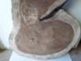 SOLD SOLD