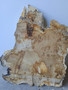 Hardwood Timber Air Dried Sawn English Burr Oak Board Offcut