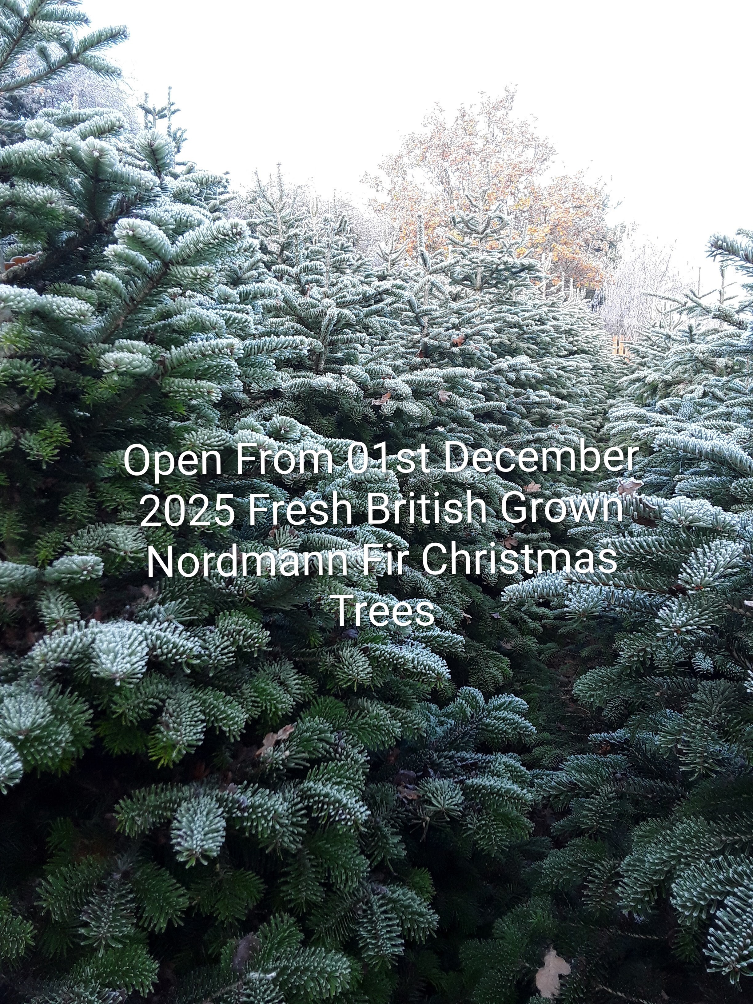 20221213-130657-2.jpg 20221213-130657-2.jpg