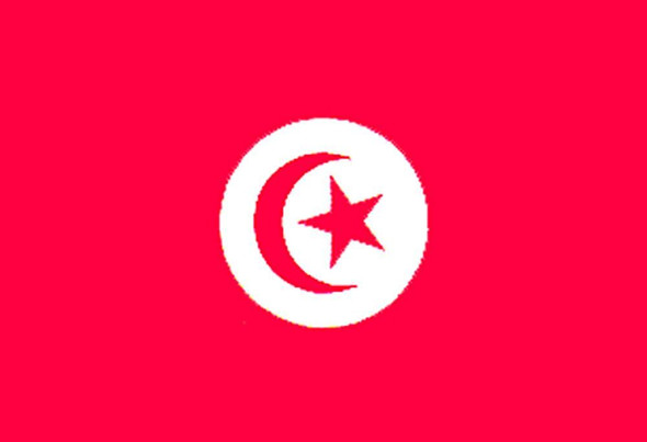 Tunisia World Flags - Nylon   - 2' x 3' to 5' x 8'