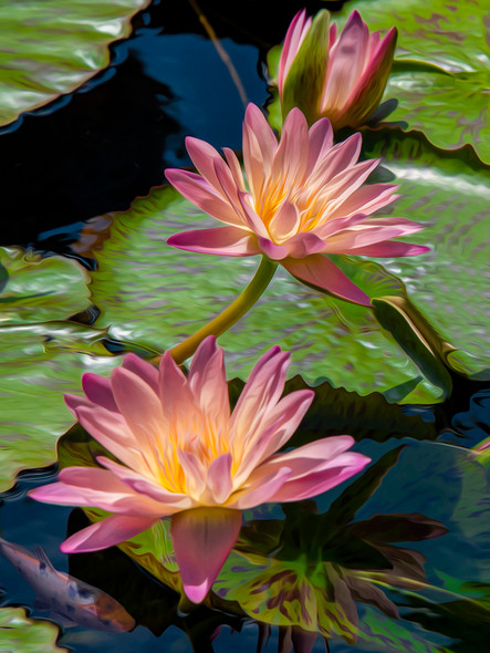 Water Lilies 500 Piece Jigsaw Puzzle