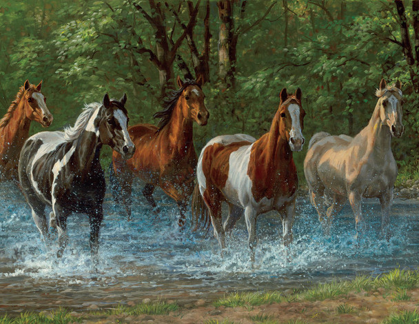 Summer Creek 500 Piece Jigsaw Puzzle