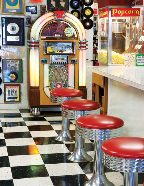 The Malt Shop 36 Piece Jigsaw Puzzle