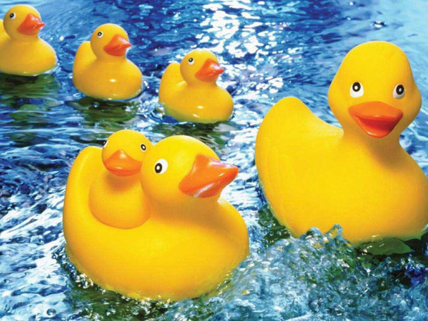 Rubber Duckies 60 Piece Jigsaw Puzzle