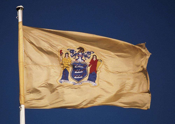 New Jersey State Flags - Nylon   - 2' x 3' to 5' x 8'