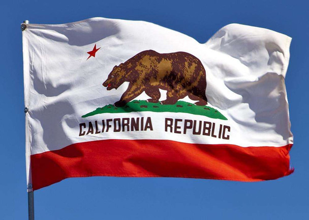 California State Flags - Nylon   - 2' x 3' to 5' x 8'