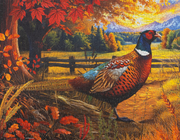 Golden Fields Pheasant 500 Piece Jigsaw Puzzle