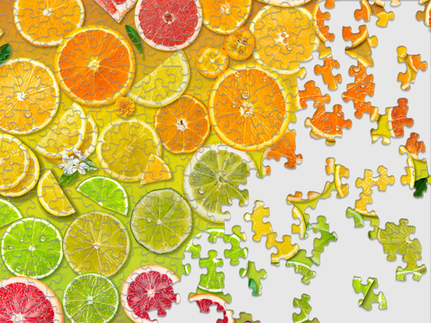 Citrus Rainbow 1000 Piece Jigsaw Puzzle