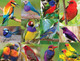 Birds of Paradise 500 Piece Jigsaw Puzzle