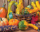 Harvest Colors 1500 Piece Jigsaw Puzzle