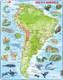 South America Map with Animals 65 Piece Children's Educational Jigsaw Puzzle