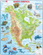 North American Map with Animals 66 Piece Children's Educational Jigsaw Puzzle