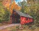 Loonsong Bridge 1000 Piece Jigsaw Puzzle