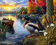 Mallard Morning Glow 1000 Piece Jigsaw Puzzle