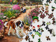 Life on the Farm 500 Piece Jigsaw Puzzle