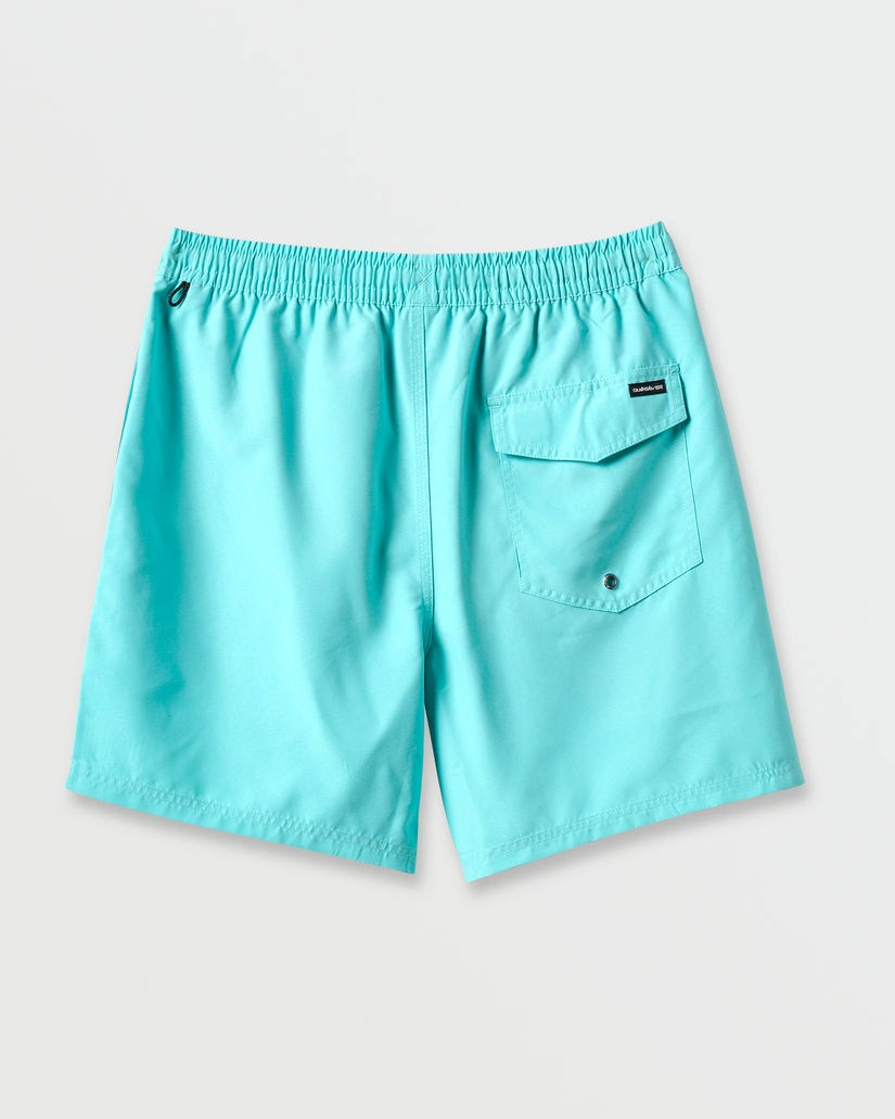 Everyday Solid 15" Swim Trunks
