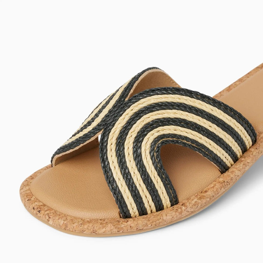 Willow Paisley