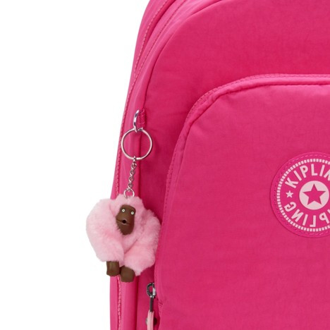 Class Room Backpack