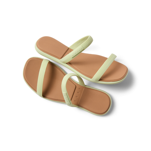 Water Willow Marina- Aloe