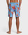 Good Times Gallery Boardshorts
