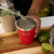 Stackable Cup 16oz - PALGRN