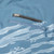 Strike 19' Wahoo Boardshorts