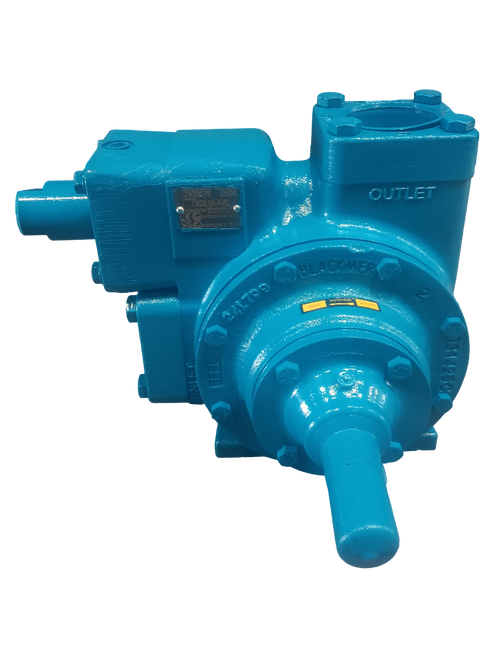 BLK Pump 2 1/2" w/Piston RV