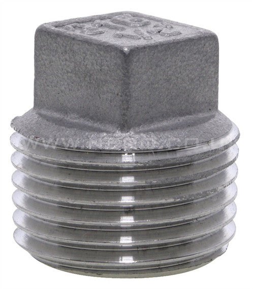 1/2 in. Threaded 150# 304 Stainless Steel Square Plug (IS4BSTSPSP114D) (12SS304PL)