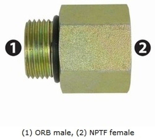 MUN Straight Adapter- 1" Male O-Ring Boss x 3/4" Female Pipe Ridgid, Steel