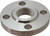 Threaded Companion Flange 2 Inch Stainless Steel (M2SS304TFFF)