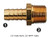 MUN 1 1/2 M Pipe to Hose Barb (4444-24-24)