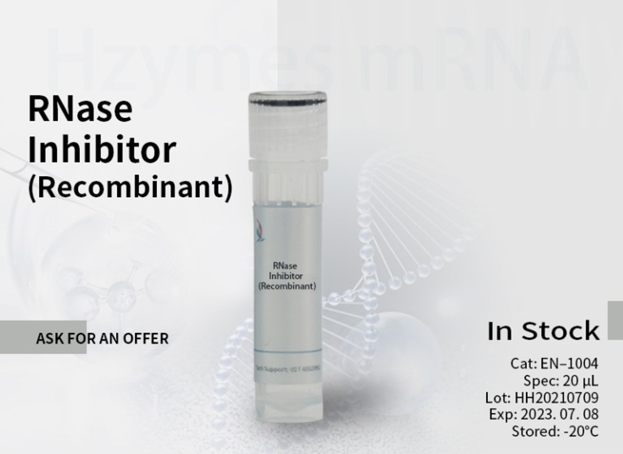 RNase Inhibitor