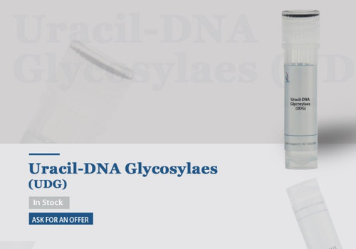 Uracil-DNA Glycosylaes (UDG)