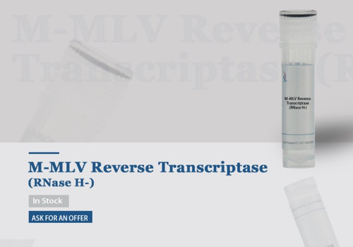 M-MLV Reverse Transcriptase (RNase H-)