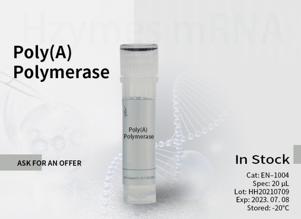 Poly(A) Polymerase