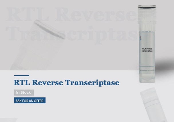 RTL Reverse Transcriptase