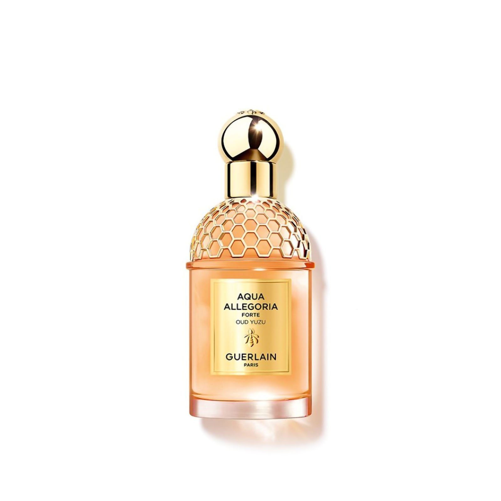 Guerlain Aqua Allegoria Forte Oud Yuzu - Eau De Parfum 125 ml