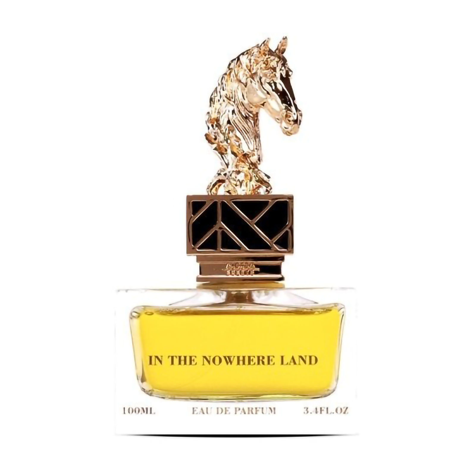 In The Nowhere Land - Eau De Parfum 100 ml