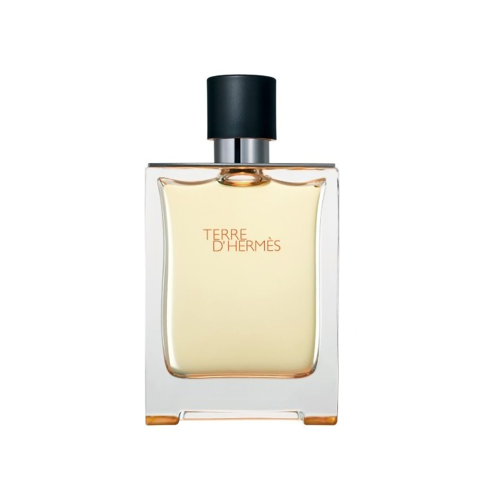 Terre D'hermès - Eau De Toilette 100 ml