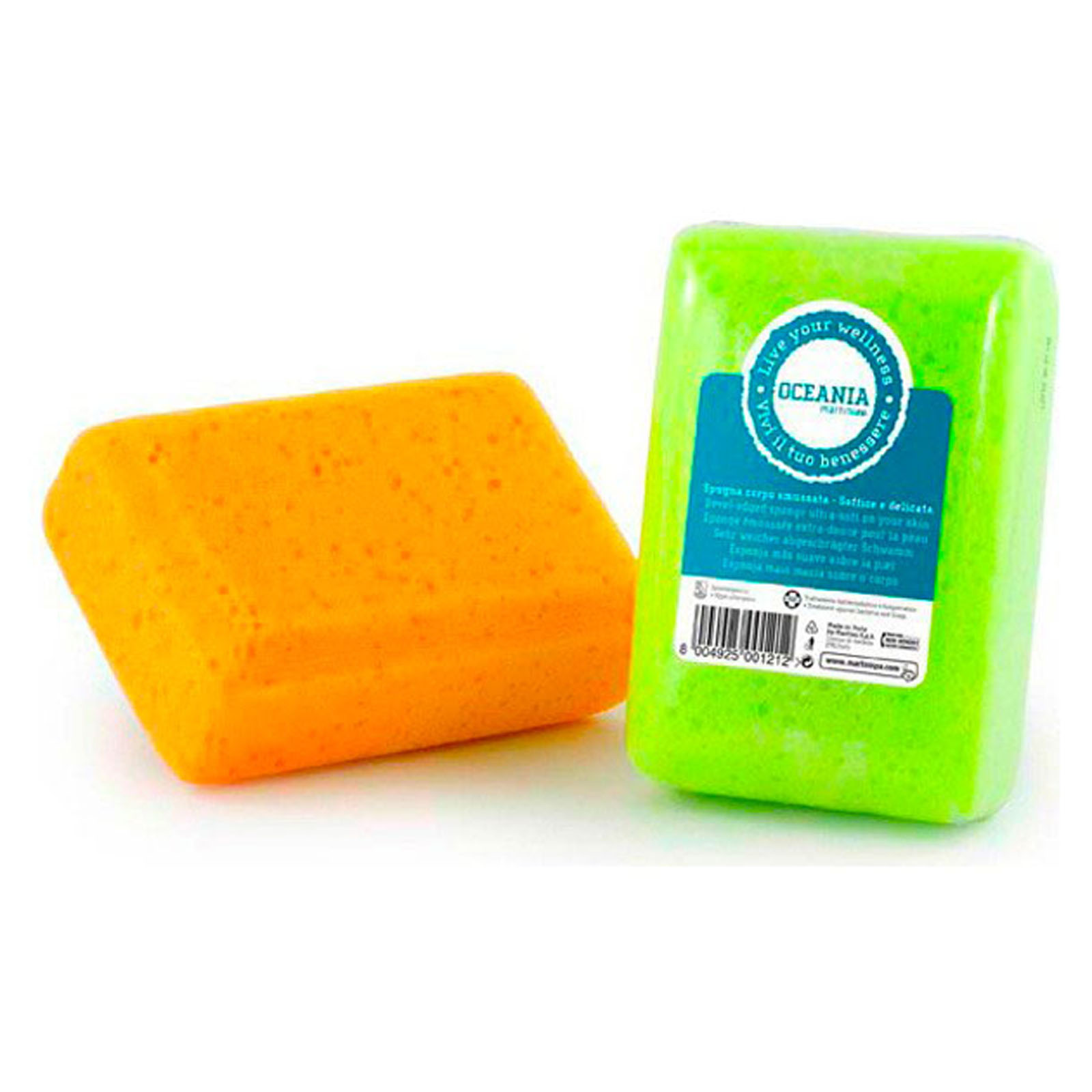 Oceania - Spugna Smussata 121