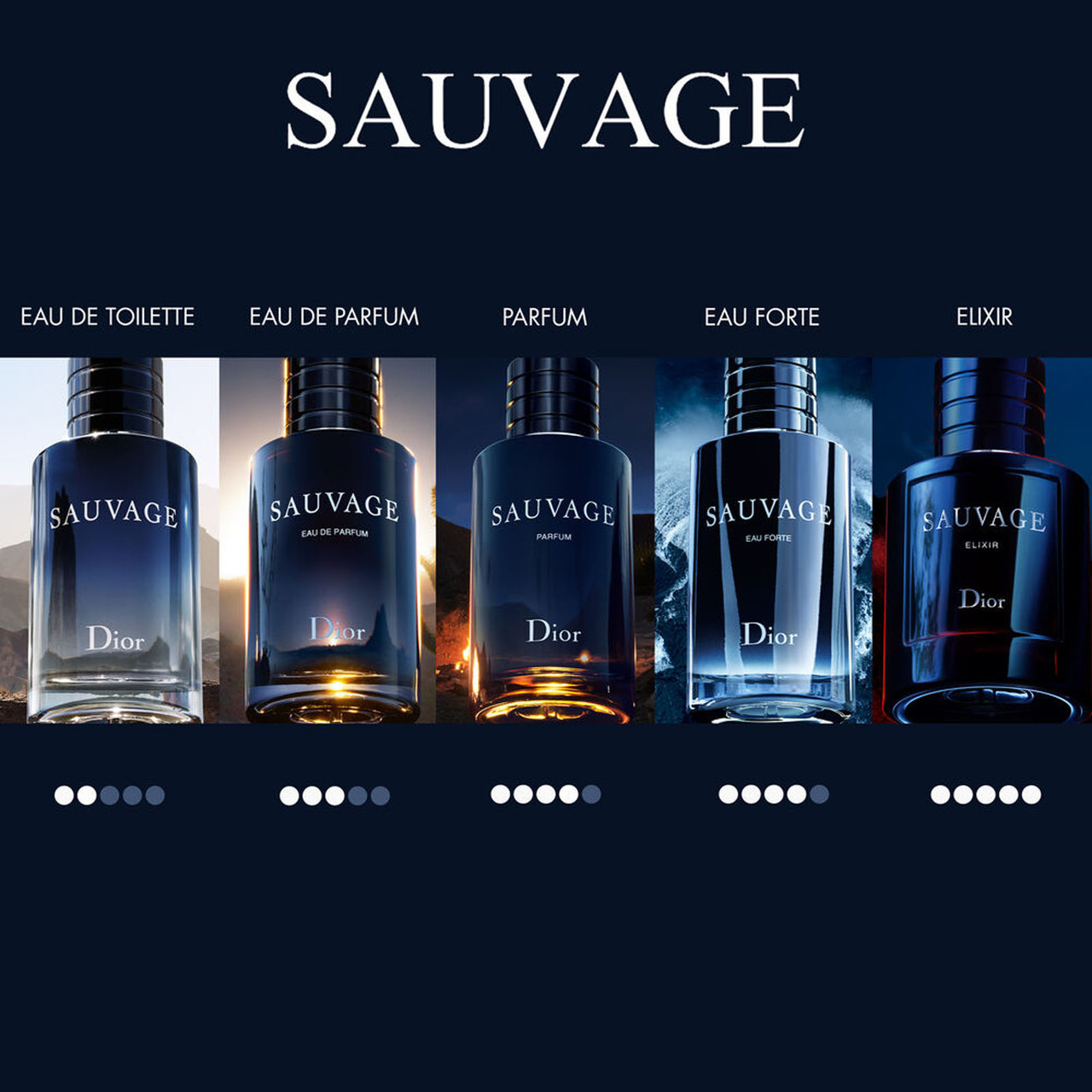 Image Gallery