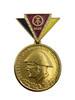 East German Volkstrum Peoples Army Reserve Gold Medal