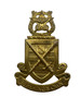 US Army Band Pershing's Own Cap Badge