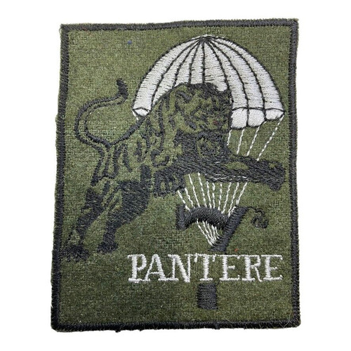 Italy Italian Airborne Para 7th Pantere Insignia Patch