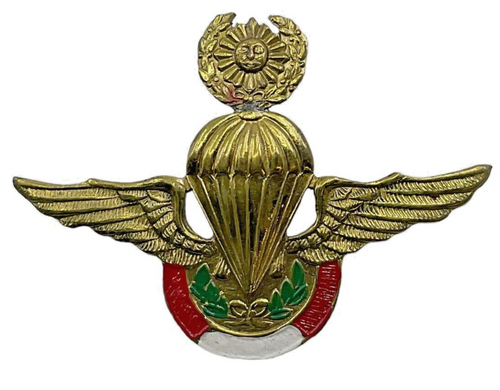 Peru Master Parachutist Airborne Para Jump Wing Insignia 2