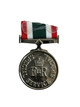 Canadian Forces Special Service Medal SSM Full Size Original