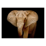 Wildlife Elephant Wall Art Print