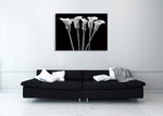 Lilies at Night Wall Art Print on the wall